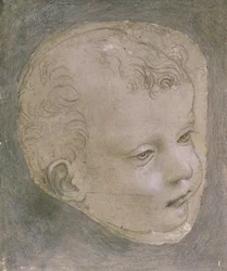 Head of a Child