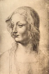 Head of a Young Woman