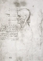 Head of an Old Man in Profile, facsimile copy