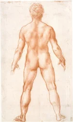 Male Nude Seen from Behind