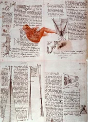 Notes on the Physiology of Vision