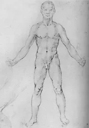 Nude Man With Arms Stretched Out, Seen from the Front
