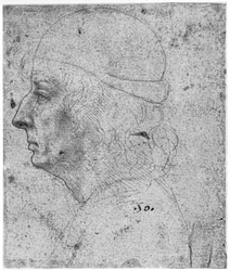 Portrait study of a man