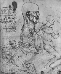 Profile of a Man Squared for Proportion and Studies of Horsemen