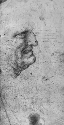 Profile of a Man with Clenched Teeth