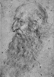 Profile of an Old, Bearded Man to the Left