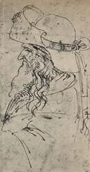 Profile to the Left of an Old Man in a Large Hat, c1480