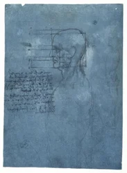 Proportional Study of a Male Head in Profile