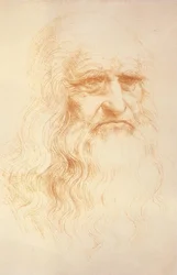 Self Portrait
