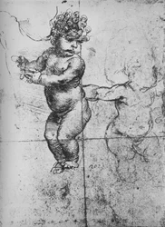 Studies of Infants