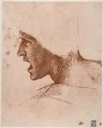 Study of Male Head for the Battle of Anghiari