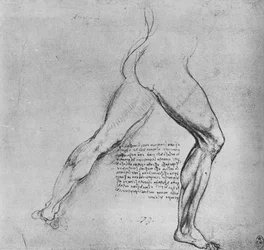 Study of the Legs of a Man Lunging to the Right, c1480