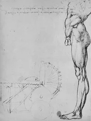 Study of the Lower Half of a Man and of Machinery