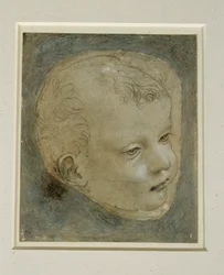 Head of a Child in Three-Quarter View to the Right