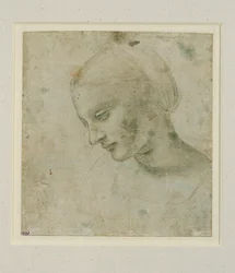 Head of a Woman Almost in Profile