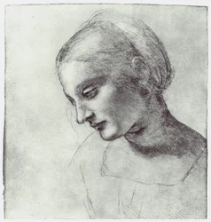 The Head of a Madonna, c. 1484-1486