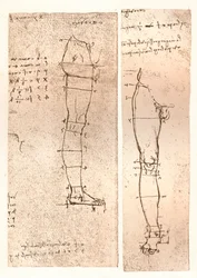 Two Drawings Illustrating the Theory of the Proportions of the Human Figure