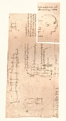 Two Drawings Illustrating the Theory of the Proportions of the Human Figure