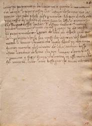 Unsigned extract from The Codex Trivulzianus