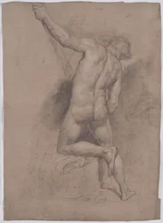 Male Nude from the Back