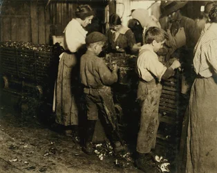 10 Year Old Jimmie Who Has Been Shucking 3 Years with an 11 Year Old Boy Who Shucks 7 Pots at Varn und Platt Canning Co., Bluffton, South Carolina, 1913