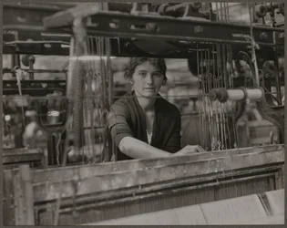 The Loom