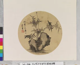 Bamboo and Rock