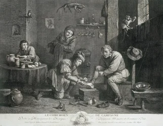 The Country Surgeon