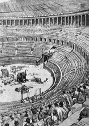 Inauguration of the Flavian Amphitheatre, known as the Colosseum, in Rome in 80 AD, with the audience watching animal combat, illustration from History of Rome by Francesco Bertolini (1836-1909), Treves, Milan