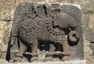 Relief Depicting Elephant, Daulatabad Fort, Maharashtra, India
