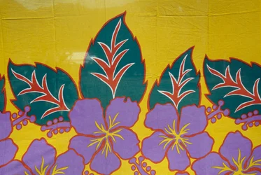 Sarong Fabric Decorated with Floral Motifs (detail)