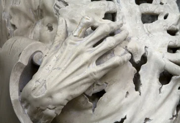 Flayed, or The Skeleton (detail)