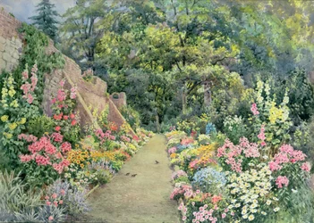 A Summer Herbaceous Border