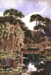An Old Wall and Water Garden
