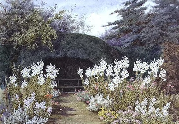 Easter Lilies in the Garden