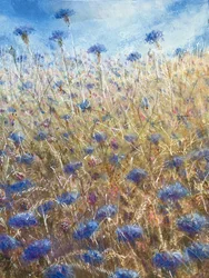 Cornflowers 2