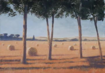Hay Bales and Pines, Pienza