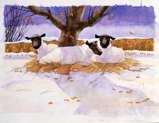 Sheep in the Snow