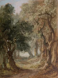 Grove