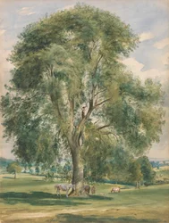 A Large Tree in a Summer Landscape, a Horse Standing at the Base