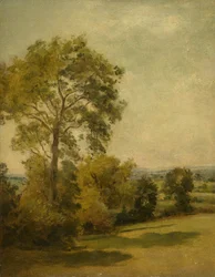 Tree in a Landscape