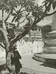 Boy in the Maligawa
