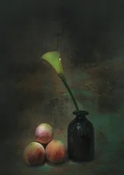 Moody Calla Lily Still Life