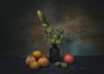 Moody Harvest Still Life