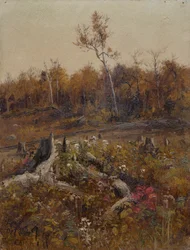 Landscape