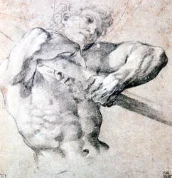 Study of a Figure