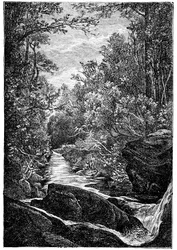 Mountain Stream with Rocks and Waterfall in the Middle of a Forest