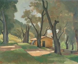 Terraced Garden, Mentone