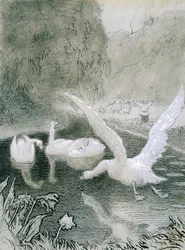 Ugly Duckling, Illustration for Fairy Tale by Hans Christian Andersen