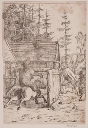 The Bear as a Rider